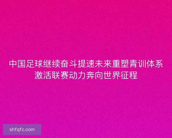 中国足球继续奋斗提速未来重塑青训体系激活联赛动力奔向世界征程