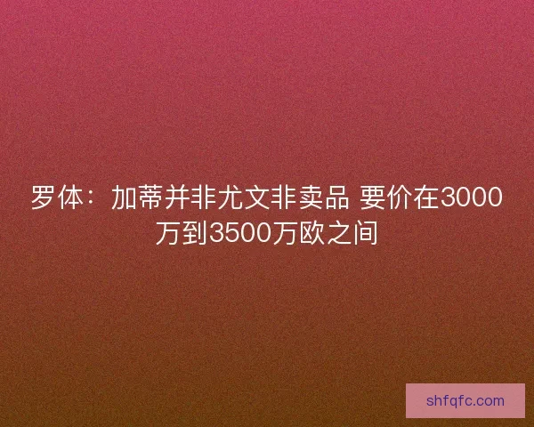 罗体:加蒂并非尤文非卖品 要价在3000万到3500万欧之间 罗体:加蒂并非尤文非卖品 要价在3000万到3500万欧之间