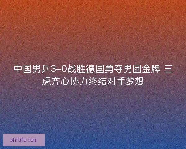 中国男乒3-0战胜德国勇夺男团金牌 三虎齐心协力终结对手梦想 中国男乒3-0战胜德国勇夺男团金牌 三虎齐心协力终结对手梦想
